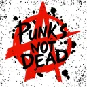 Punk and DIY