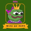 Pipa Coin | Wife Of Pepe