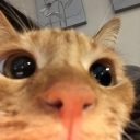 Discovery icon for /𝙙𝙚𝙨𝙞𝙘𝙤𝙧𝙙 ☁ Discord server