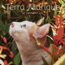 Terra Marique Discord server icon