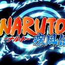 Naruto: The Aftermath
