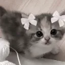 мияби шлюха