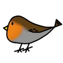 The bird basement
