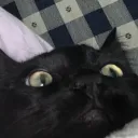 aa