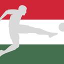 Hungarian Bundesliga Community Discord Server Icon