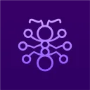 The DeFi Collective
