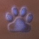 Path Unseen Discord Server Icon
