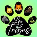 Discovery icon for ‧₊˚ 🍀 Les Tribus ⊹₊ Discord server