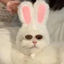 dutchies sex dungeon Discord server icon