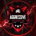 AGGRESSIVE ORGANIZATION