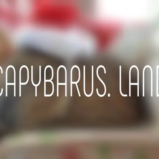 🔮Capybarus.land🔮 — Дискорд Сервер