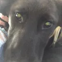 Cool server :)'s icon