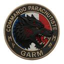 GARM - Groupe d'Assaut et de Reconnaissance Mécanisée Discord Server Icon