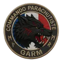 GARM - Groupe d'Assaut et de Reconnaissance Mécanisée