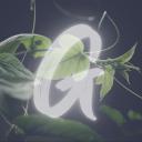 Server Icon