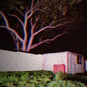 Raccoon's Evil House
