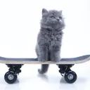 Puppet’s langoustine tank Discord Server Icon