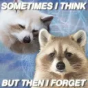 jnhyg