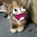 Catland :3