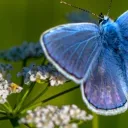 Magic happens easy 🦋