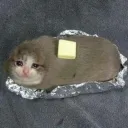 ButterHost's icon