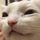 webhdx's modding lounge