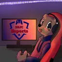 SRJC Esports