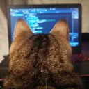 [Catsoverflow] Video game creators