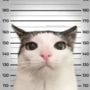 Freakanda Discord Server Icon