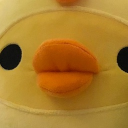 The Duck Pond Discord server icon