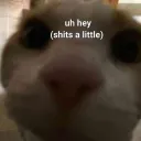 Adrian’s Attic Discord Server Icon