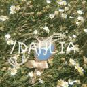 ୭ৎ /DAHLIA ༉‧+ ̊. Discord Server Icon