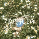 ୭ৎ /DAHLIA ❀༉‧₊˚.