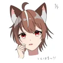 猫柳の配信＆コミュニティサーバー！