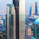 Emirate Development Server Icon