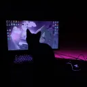 krp gamers