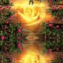🪷 Rose Garden 🪷 | DISBOARD: Discord Server List
