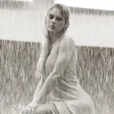 taylor's muses  Discord Server Icon