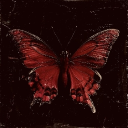 Evanesce Discord server icon