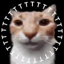 TTTTTTTT official server