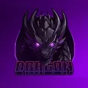 Dragon Network