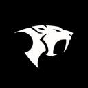 Pure Fighting Brotherhood Discord Server Icon