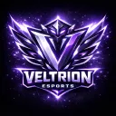 Veltrion Esports