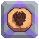 Apricot Conservation Project