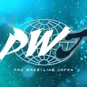 Pro Wrestling Japan