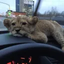 rewrite testing Discord server icon