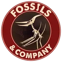 Fossils & Company [F&Co]