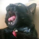 Personality Disorders United Discord server icon