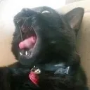 Personality Disorders United Discord Server Icon