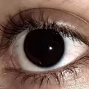 dan’s visuals